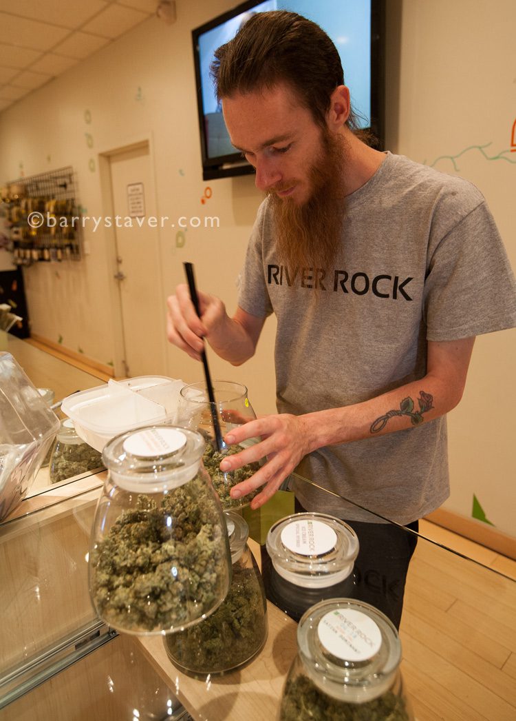 Staver©Marijuana5 marijuana buds, river rock colorado