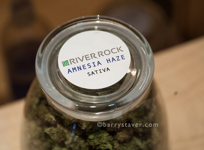 Staver©Marijuana6 marijuana buds, river rock