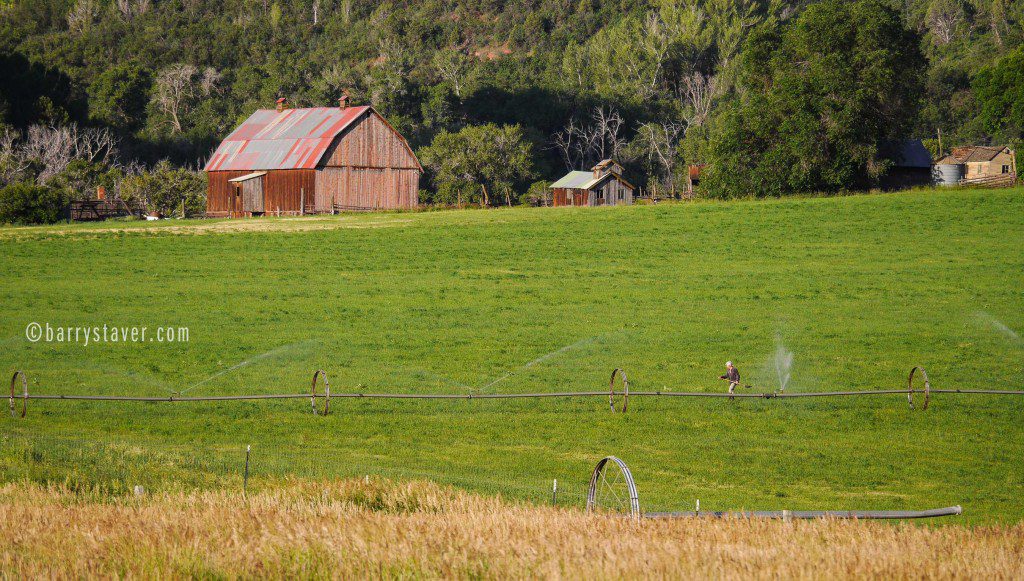 Neighbors farm
